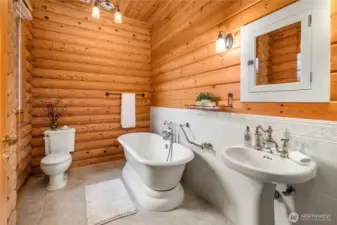 Main floor bathroom