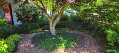 The garden shows off in every season.