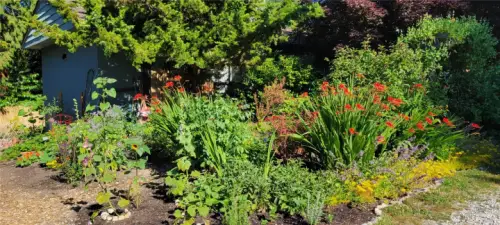 Something is always surprising you.