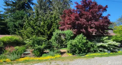 Would you look at that?