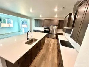 state of the art induction stove