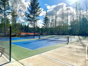 Pickleball court