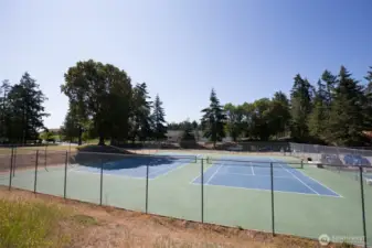 Tennis-Pickle ball courts