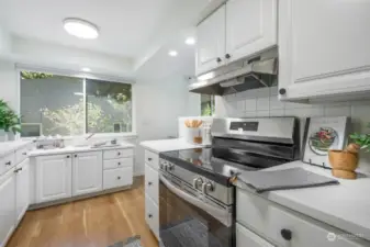 All new appliances and plenty of storage in the spacious kitchen!