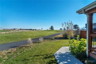 Backyard golf course view