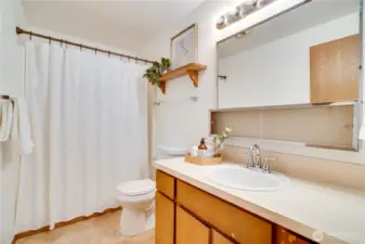 Guest bathroom