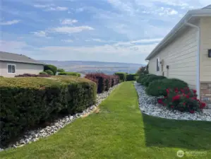Side yard
