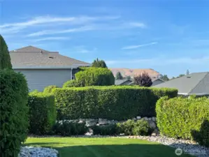 Open Back yard