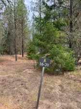 Easy to walk and clearly marked corners.