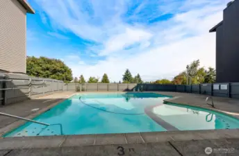 Pool for the complex