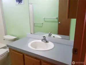 Another Picture of the Large Size Main Guest Bath Room Showing Long Counter Top.