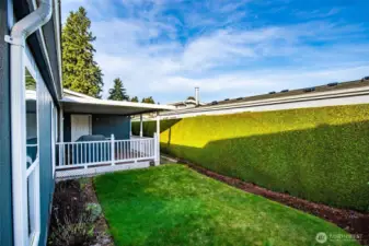 Private backyard