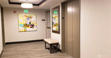 17th floor hallway