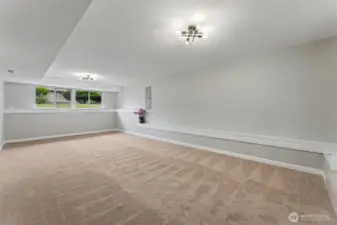 Downstairs family room