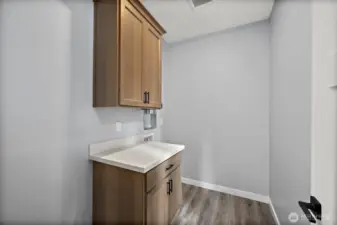 Main Floor Utility Rm Off of the Flex Rm! Quartz Slab Top Cabinet!