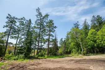 Cleared build site with peekaboo territorial views