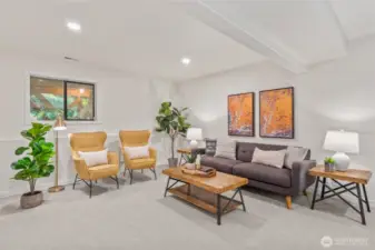 Lower level bonus room with high ceilings and natural light.