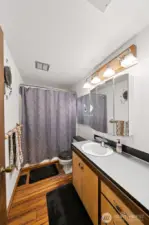 Lower Level 1 - Bathroom