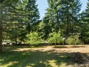 Fruit Trees