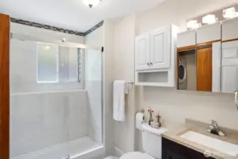 Lower level bathroom