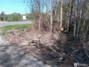 Tree delineation and topo complete