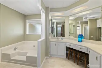 Primary bathroom with large soaking tub