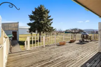 Back deck overlooks the yard area with fruit trees
