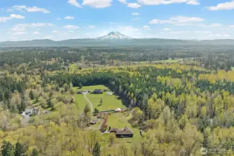 Mt Rainier views if logging land get logged