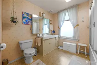 Full downstairs bathroom.