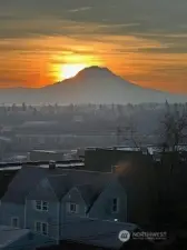 Your view for every season..."Her Majesty" Mt Rainier