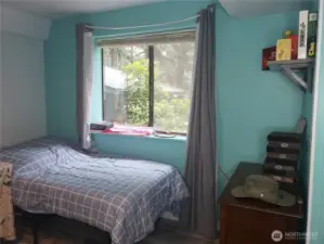 Lower bedroom