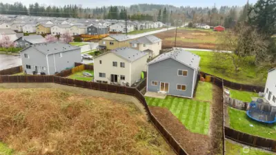 New sod in the back yard and fresh landscaping ready for spring.