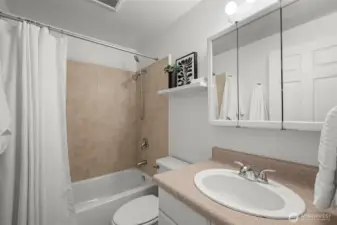 Hall bathroom with shower and tub.