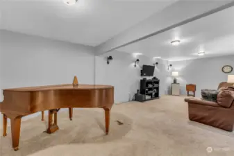 Large living room (1)