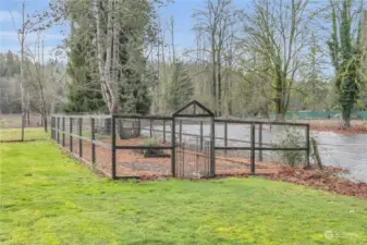 Fenced area for planting or dog run