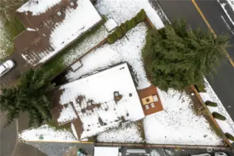 Aerial view of Wide Backyard.  Side yard to the West (top) side of home.  Lot extends up to sidewalk on backside of fence.  Convenient bus stop is located right around the corner & under tall tree along fence.  Dog run area is along East (lower) side of home.