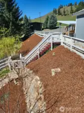 Landscaping and terrace