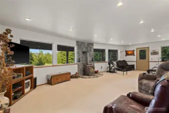 Lower level rec room