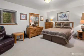 Lower level bedroom