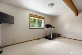 2nd downstairs bedroom