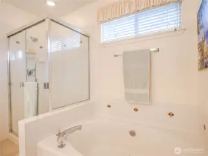 Shower in Primary Bath