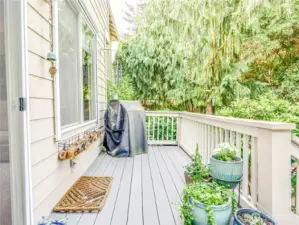 Back Deck off Family Room