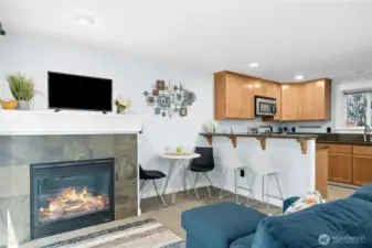 Gas fireplace