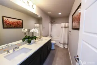 Main Bathroom