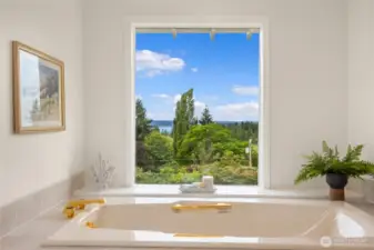 Lovely view from the garden tub.
