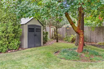 Shed