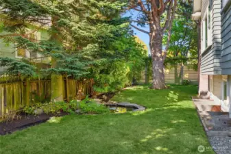 Generous outdoor space with koi pond, mature foliage and irrigation system.