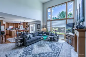 Living room with tinted triple pane windows