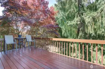back deck
