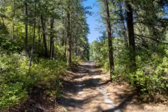 The mostly level property is served by a private dirt road that follows the river’s meander through mature forest.